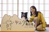 「【開業1周年】愛犬お祝いガチャが登場！奥日光・愛犬と泊まれる温泉旅館が4大特典付プラン販売開始｜2026年5月より」の画像1