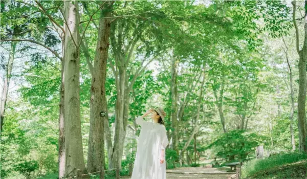 「六甲高山植物園 ユニークな姿の人気者「ユキモチソウ」が見頃です！GWのイベントも！」の画像