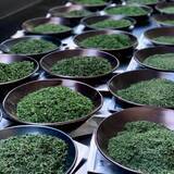 「創業1872年、滋賀の老舗茶問屋・丸安茶業が8種の新抹茶を発表」の画像3