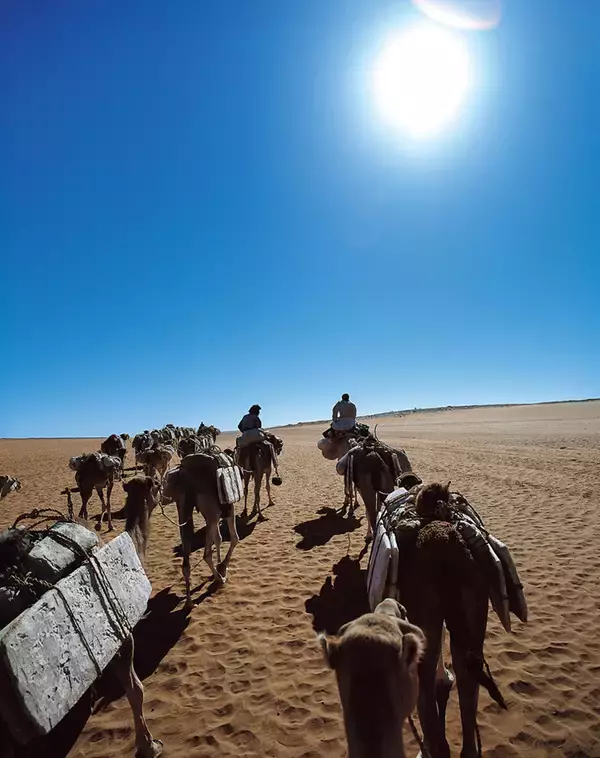 50年にわたり撮り続けた「塩の現場」の作品約80点を紹介　片平孝写真展「塩の旅　～地球の塩の現場に立つ～」たばこと塩の博物館(東京・墨田区)で1月31日(土)から開催