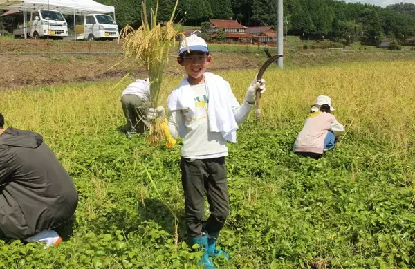 「【テレビ新広島】広島の子どもたちが田植えや稲刈り、収穫を実体験「わんぱく農業体験」の参加小学生を募集」の画像