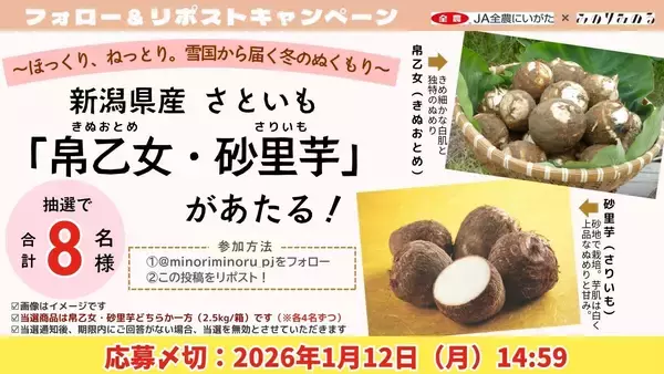 「～ほっくり、ねっとり。雪国から届く冬のぬくもり～ 全農直営飲食店舗で「新潟県産さといもフェア」を １月８日（木）～１６日（金）に開催」の画像