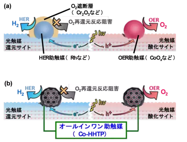 「水完全分解光触媒における初めてのオールインワン助触媒を実現　―サステイナブルな水素社会の実現に向けて―」の画像