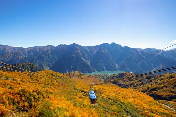 「立山黒部アルペンルート、全10箇所の最新紅葉情報を9月1日(火)から公式サイト・SNSで配信開始」の画像