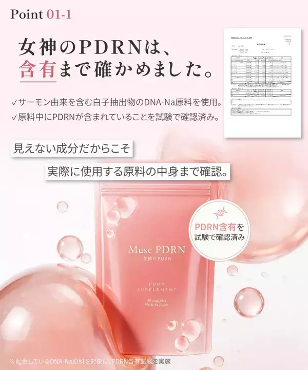 「“飲むPDRN”という新習慣。原料中のPDRN含有を試験で確認したサプリメント「Muse PDRN」を9月14日に発売」の画像