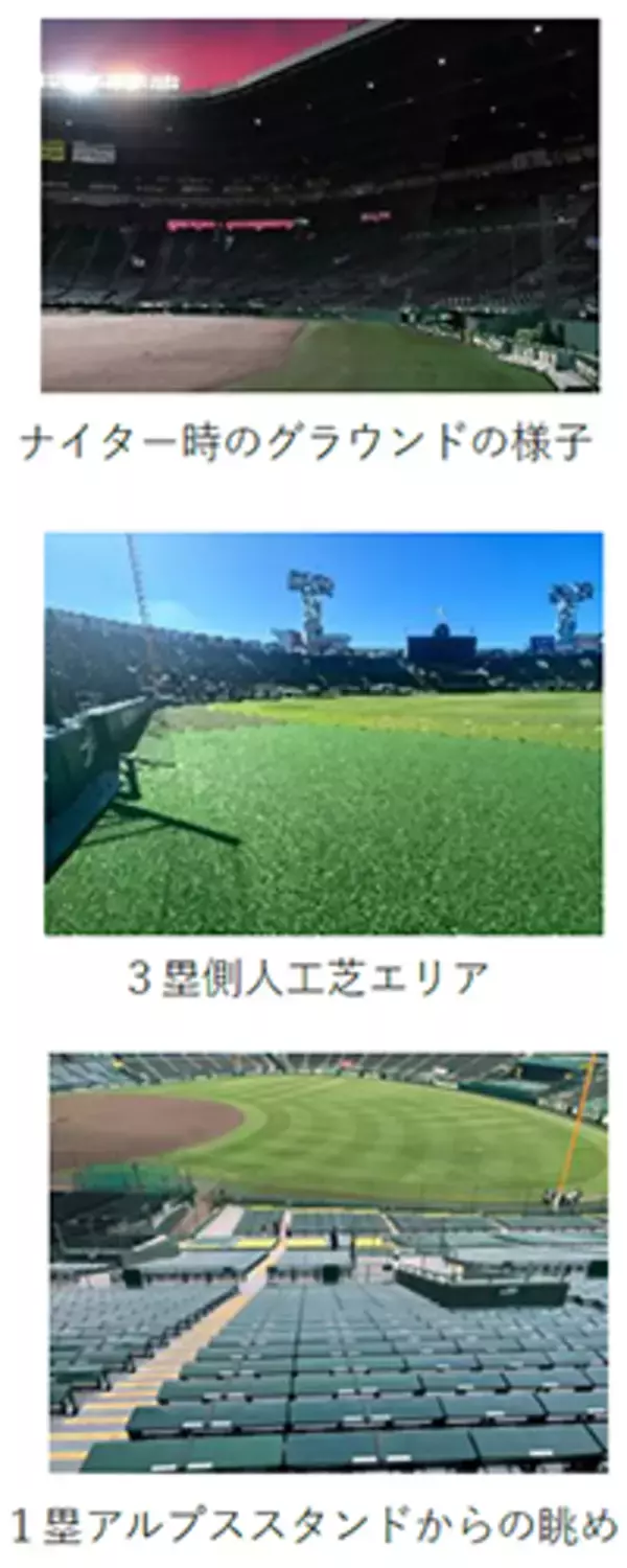 阪神甲子園球場でエクササイズができる！「夜トレ！甲子園2026」7月17日（金）・18日（土）開催～好評の「朝トレ！甲子園」初のナイター開催～