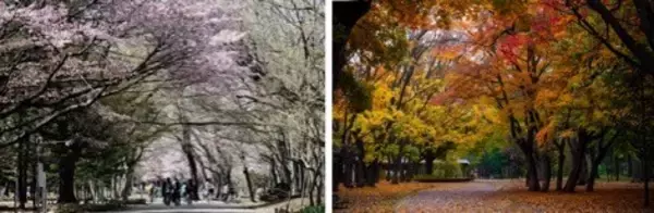 「京阪電鉄不動産の最高峰。グランを冠した邸宅、円山に誕生。「ザ・ファイングラン札幌円山裏参道」」の画像