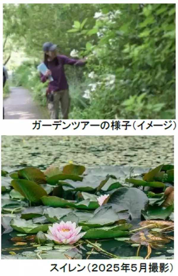 「ROKKO森の音ミュージアムSIKIガーデンEarly Summer Season“Concerto”」の画像