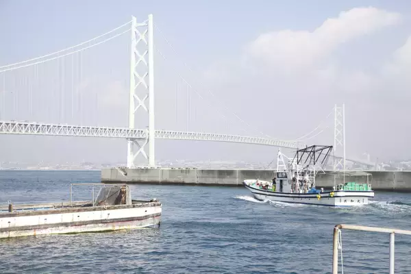 「ちりめんじゃこで育てた「淡路島玉葱 五色浜ゴールド」と「淡路島の生しらす沖漬け」を道の駅あわじ公式通販サイトで販売開始」の画像