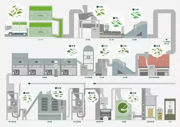 「【新発売】世界が注目する“オーガニック抹茶”―老舗茶園が辿り着いた、極上の一服」の画像