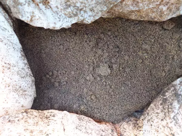 「美味しさが緑を育てる　医療複合施設I-Mall発「おいしい循環」始まる」の画像