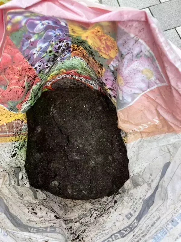 「美味しさが緑を育てる　医療複合施設I-Mall発「おいしい循環」始まる」の画像