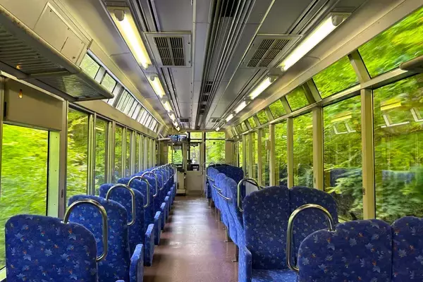 「～ もみじのトンネルを抜けて清涼感たっぷりの貴船・鞍馬へ ～「青もみじ新緑の徐行運転」を実施します」の画像