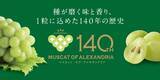 「１４０年の歴史が育てる、芳醇な香りと上品な甘さが特長の「マスカット・オブ・アレキサンドリア」を「ＪＡタウン」のショップ「おいしいおかやま」で販売開始！」の画像2