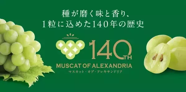 「１４０年の歴史が育てる、芳醇な香りと上品な甘さが特長の「マスカット・オブ・アレキサンドリア」を「ＪＡタウン」のショップ「おいしいおかやま」で販売開始！」の画像