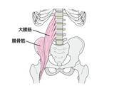 「デスクワーク時代の姿勢を「腸腰筋」から解説　理学療法士・土屋 元明がテレビ朝日系番組に出演」の画像2