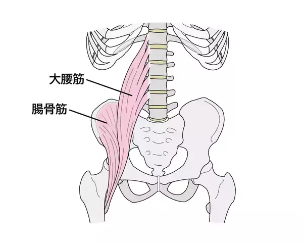 「デスクワーク時代の姿勢を「腸腰筋」から解説　理学療法士・土屋 元明がテレビ朝日系番組に出演」の画像