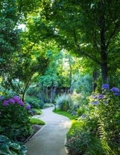 大阪・舞洲「あじさいフェア2026」開催　あじさい、夕陽、星空へ～初夏を過ごすガーデンステイ～