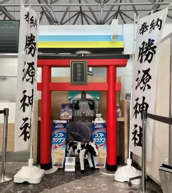 「初コラボ！「雪印ソフトカツゲン」×AIRDO　2026年4月29日（水）に新千歳空港でサンプリングを実施」の画像