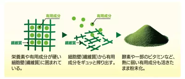 「管理栄養士監修　22種の国産野菜と11種のビタミンを配合　調剤薬局専売の青汁「リッチグリーン ウェルネス」が7/1に新発売」の画像