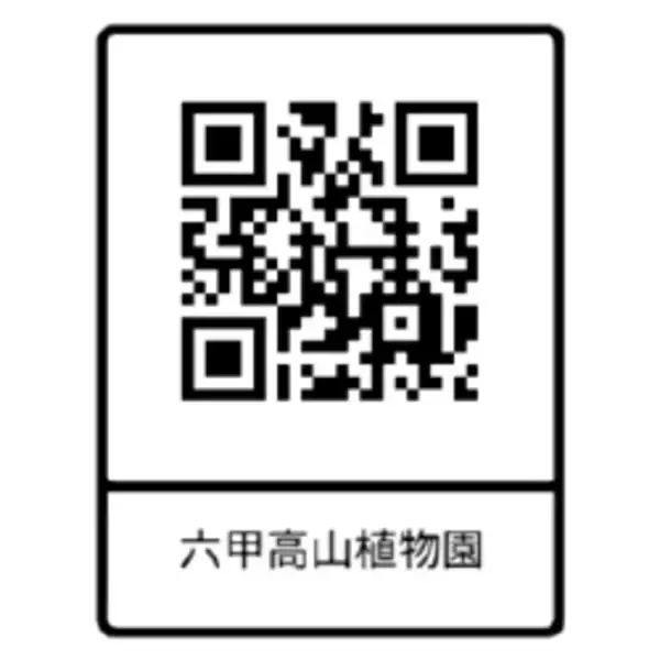 「六甲高山植物園 ベストシーズン到来！花木の王様 ツクシシャクナゲが見頃です」の画像