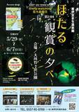 「【伊豆の大川温泉でホタル】「第24回 ほたる観賞の夕べ」《平日に浴衣を着て来訪で地元のクラフトビールもプレゼント‼》」の画像1