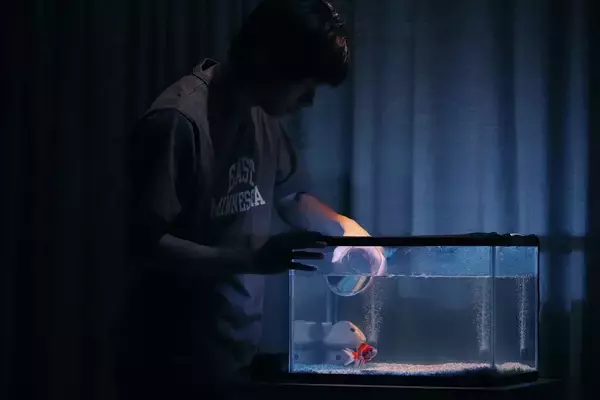 「【舞台写真・コメントあり】ヒラタオフィス＋TAAC『金魚の行方』開幕！　「引き出し屋」からひきこもりの息子を奪還する母親を通して　「いま」を描く濃密な人間ドラマ」の画像