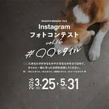 「タイルを使った施工例写真を募集！名古屋モザイク工業『第16回Instagramフォトコンテスト』開催」の画像1