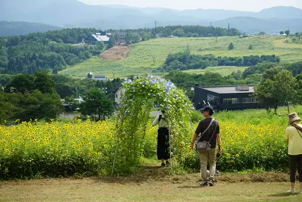 「“避暑×花×リフト×愛犬”の四拍子高原、黒姫GREENGARDENが7/18(土)全面オープン。1,200株のダリア＆犬エリア新オープン」の画像