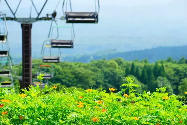 「“避暑×花×リフト×愛犬”の四拍子高原、黒姫GREENGARDENが7/18(土)全面オープン。1,200株のダリア＆犬エリア新オープン」の画像