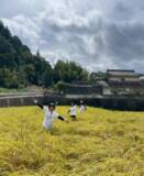 「【株式会社DoTS】広島・甲奴 の想いを“結ぶ” 新ブランド『YUI -結-』誕生！地域×若者×DoTS が共創する新しいお米の形」の画像3