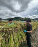 「【株式会社DoTS】広島・甲奴 の想いを“結ぶ” 新ブランド『YUI -結-』誕生！地域×若者×DoTS が共創する新しいお米の形」の画像4