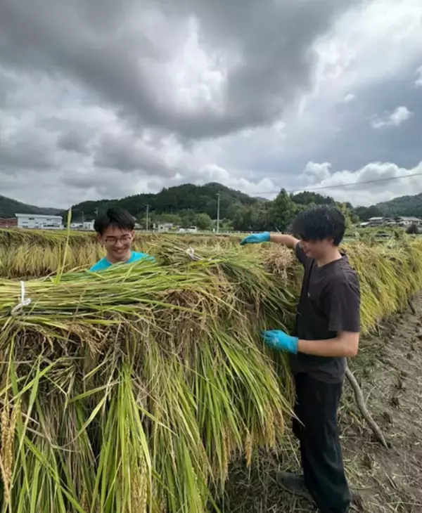 「【株式会社DoTS】広島・甲奴 の想いを“結ぶ” 新ブランド『YUI -結-』誕生！地域×若者×DoTS が共創する新しいお米の形」の画像