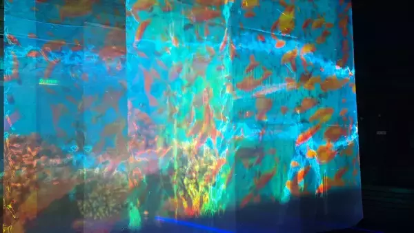 「「大阪港帆船型観光船 サンタマリア」の船内に“海中空間”が体験できる「Santamaria Immersive Space」が誕生！」の画像