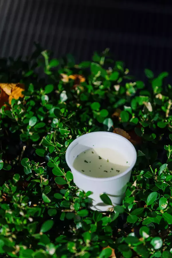 「今年で3回目！毎年大好評の周遊フェスが今年もやってくる！「TOKYO周穫祭2025」11月22日(土)・23日(日)に東京国際フォーラムにて開催」の画像