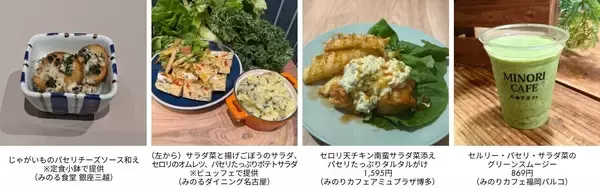 彩りも食感も！料理のバイプレイヤー！全農直営飲食店舗で「セルリー・パセリ・サラダ菜フェア」を２月７日(土)～３月１日（日）に開催