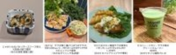 彩りも食感も！料理のバイプレイヤー！全農直営飲食店舗で「セルリー・パセリ・サラダ菜フェア」を２月７日(土)～３月１日（日）に開催