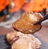 「WE LOVE HACHI 2026～渋谷と秋田から愛を伝える2DAYS～　開催！」の画像4