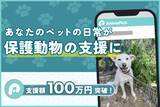 「あなたのペットが保護犬猫の命をつなぐ―動物専用SNS『AnimaPick』、無料でできる新しい支援の形」の画像1