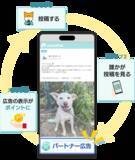 「あなたのペットが保護犬猫の命をつなぐ―動物専用SNS『AnimaPick』、無料でできる新しい支援の形」の画像2