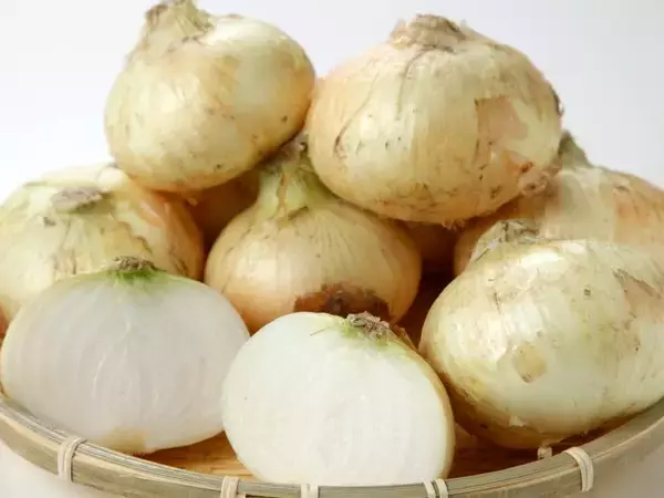 「＜千葉＞西船橋駅ナカで5月3日(日)～5日(火)開催　ペリエマルシェGWイベント」の画像