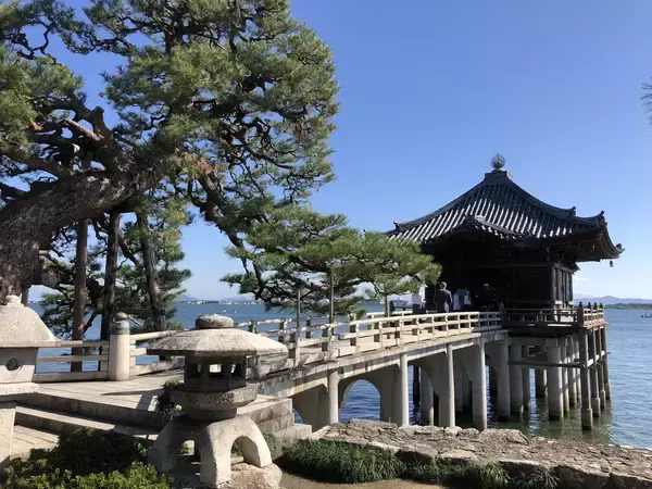 「早春の琵琶湖 ホンモロコと近江八景を味わう　参加者募集中！」の画像