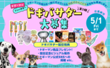 ドギーマンアンバサダー 第3期ドギバサダー 大募集！