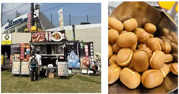 「【SGLスタジアム】6/6（土）・7（日）オリックス・バファローズ戦阪神タイガース×尼崎市共同企画「エ虎フェス」の開催について」の画像