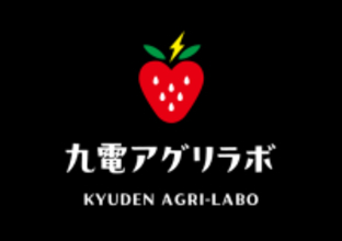 「九電アグリラボ株式会社」を設立します― スマート農業の普及とイチゴの高付加価値化により地域農業の課題解決に貢献 ―