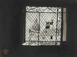 「堂本印象美術館、開館60周年記念展Iを7月7日より開催　日本画家・堂本印象が自らデザインした“美術館誕生”の軌跡を紹介　同時開催 第7回京都工芸美術作家展」の画像3