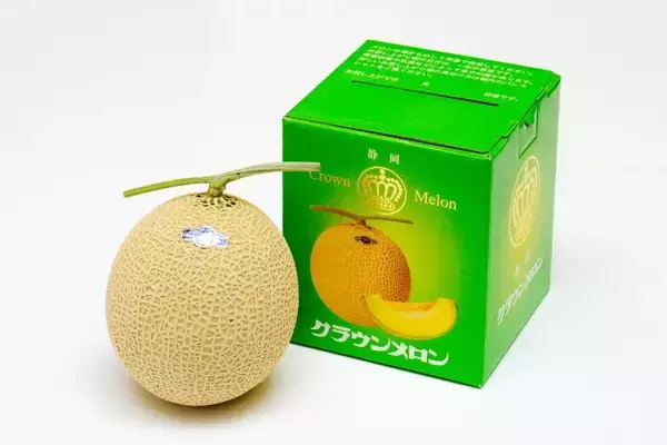 「静岡のメロンや三ヶ日みかんなど「しずおか『手しお屋』」商品 約170点以上が「お客様送料負担なし」！」の画像