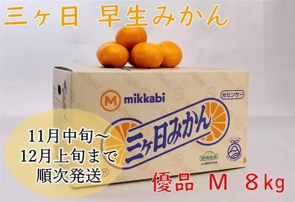「静岡のメロンや三ヶ日みかんなど「しずおか『手しお屋』」商品 約170点以上が「お客様送料負担なし」！」の画像