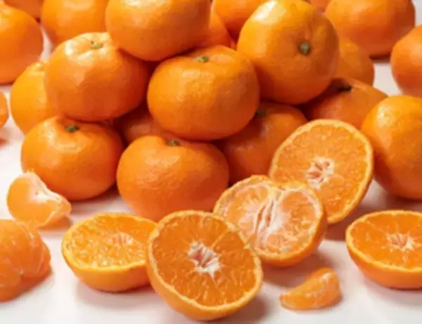 「ＪＡ全農とＪＲ西日本の地域振興支援プロジェクト ＪＲ大阪駅で「みのりみのるマルシェ 和歌山の実り｣を １１月２２日に開催」の画像