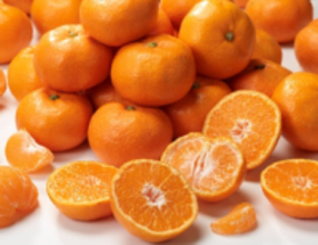 ＪＡ全農とＪＲ西日本の地域振興支援プロジェクト ＪＲ大阪駅で「みのりみのるマルシェ 和歌山の実り｣を １１月２２日に開催